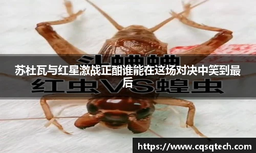 88858cc永利