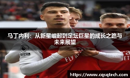 马丁内利：从新星崛起到足坛巨星的成长之路与未来展望